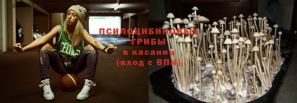 соль курить ск Горно-Алтайск