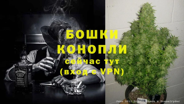 сатива Богородск